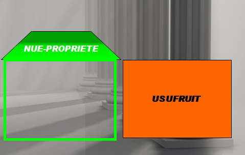 Nue-Propriété + Usufruit